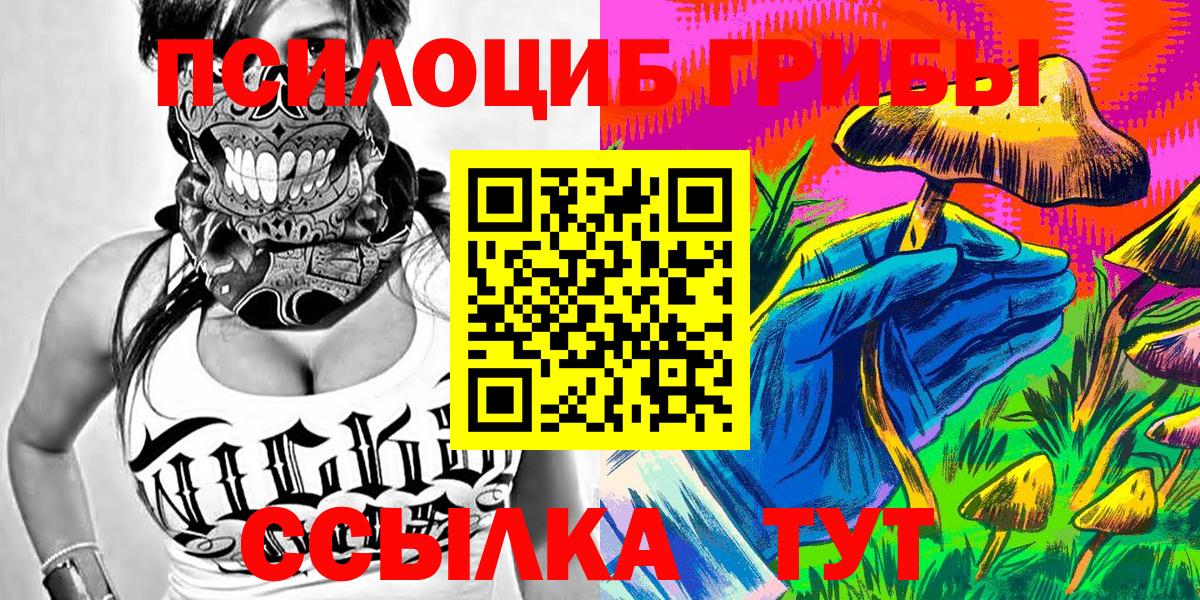 Псилоцибиновые грибы GOLDEN TEACHER Прокопьевск