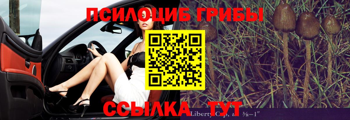 Галлюциногенные грибы мухоморы  Вход с VPN  Прокопьевск 
