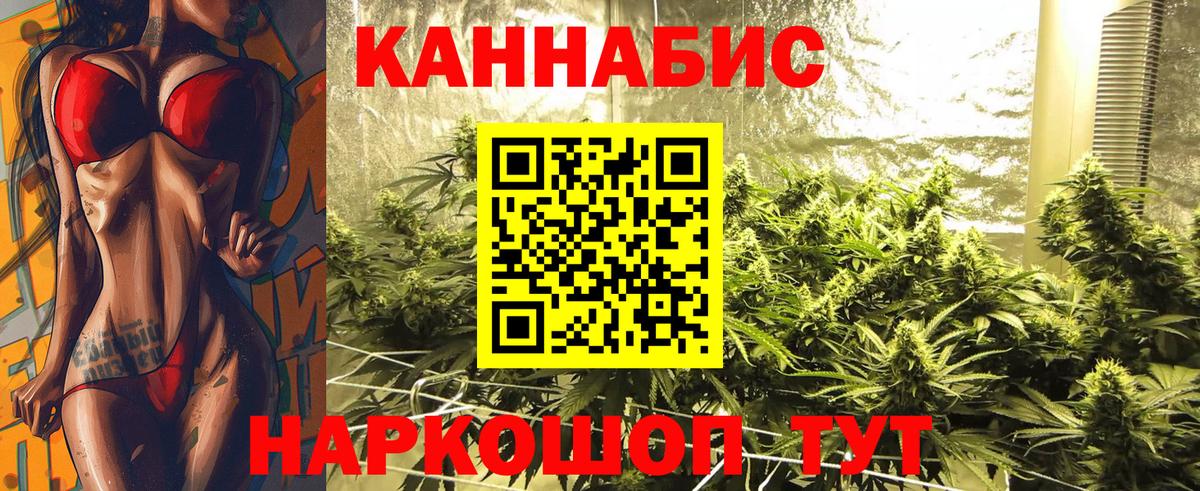 Канабис гибрид Прокопьевск